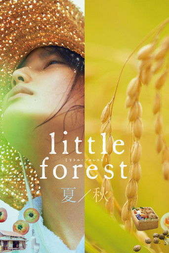 Little Forest: Summer/Autumn (2014) movie poster