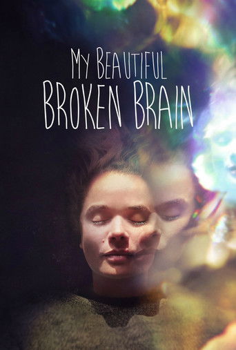 My Beautiful Broken Brain (2014) movie poster