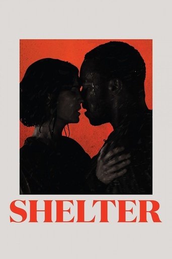 Shelter (2014) movie poster