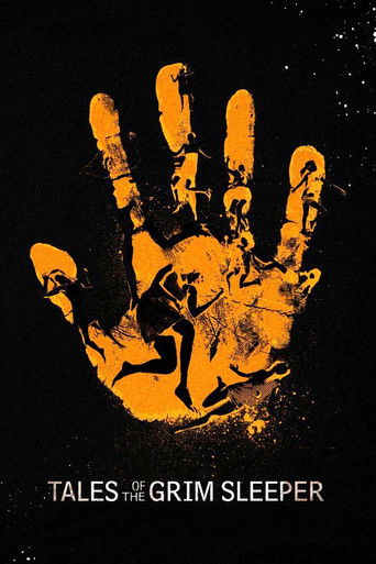 Tales of the Grim Sleeper (2014) movie poster