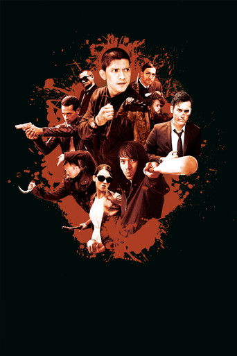 The Raid 2 (2014) movie poster