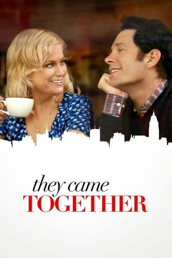 They Came Together (2014) movie poster