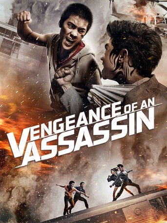 Vengeance of an Assassin (2014) movie poster