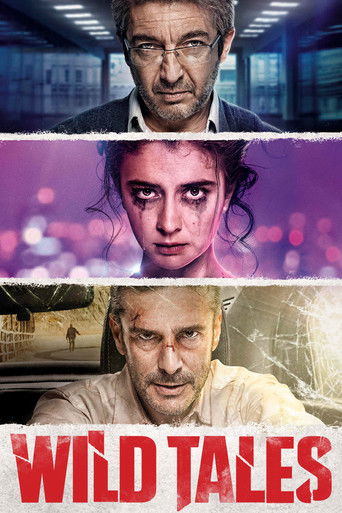 Wild Tales (2014) movie poster
