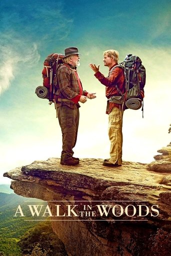 A Walk in the Woods (2015) movie poster