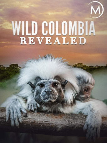 Colombia: Wild Magic (2015) movie poster