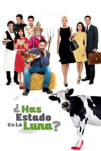 Ever Been to the Moon? (2015) movie poster