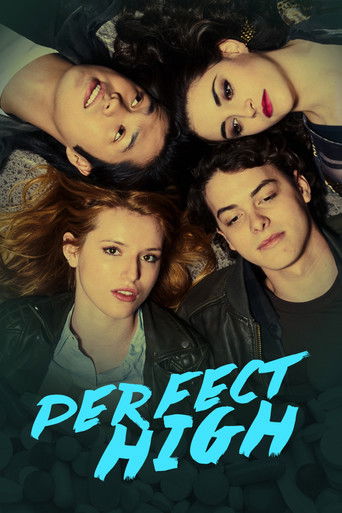 Perfect High (2015) movie poster