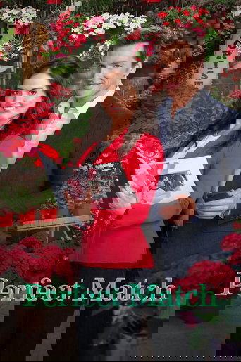 Perfect Match (2015) movie poster