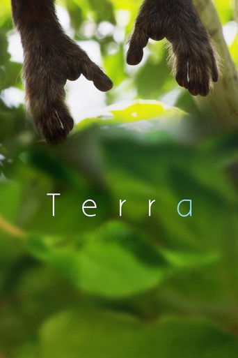 Terra (2015) movie poster