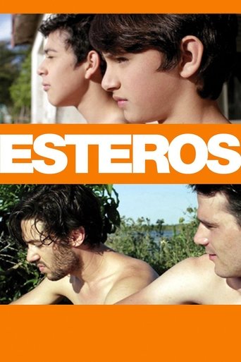 Esteros (2016) movie poster