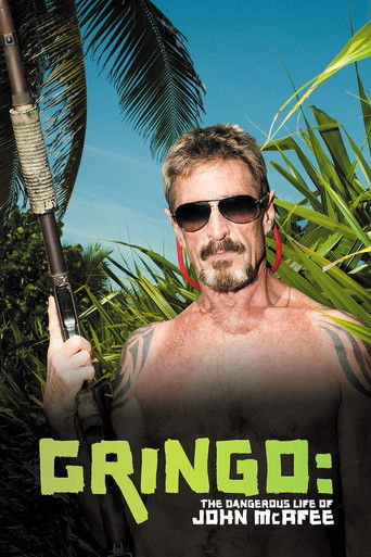 Gringo: The Dangerous Life of John McAfee (2016) movie poster