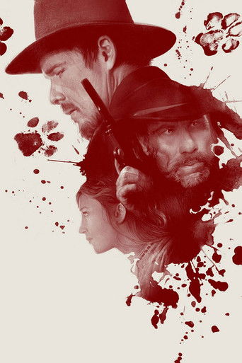 In a Valley of Violence (2016) movie poster