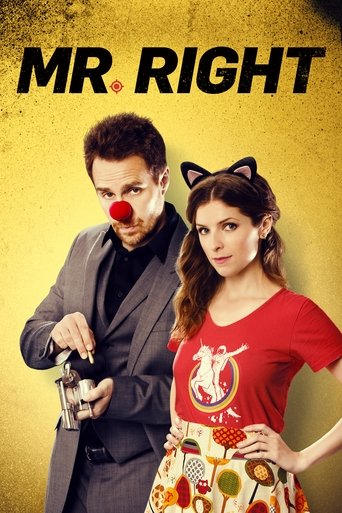 Mr. Right (2016) movie poster