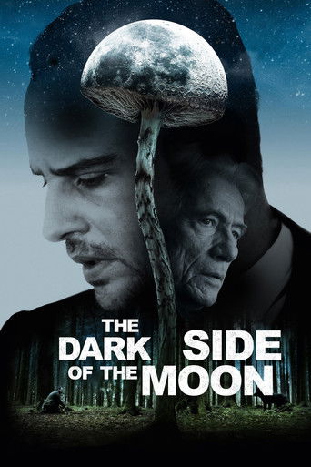 The Dark Side of the Moon (2016) movie poster