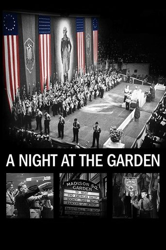 A Night at the Garden (2017) movie poster