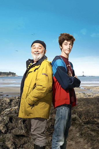 Accidental Family (2017) movie poster