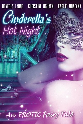 Cinderella's Hot Night (2017) movie poster