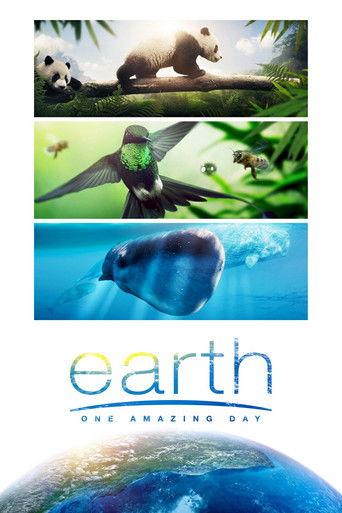 Earth: One Amazing Day (2017) movie poster