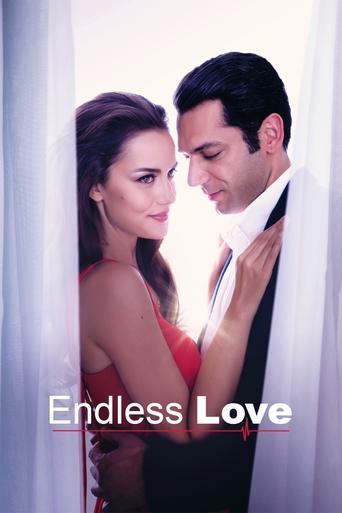 Endless Love (2017) movie poster