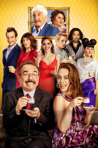 In the Family (2017) movie poster