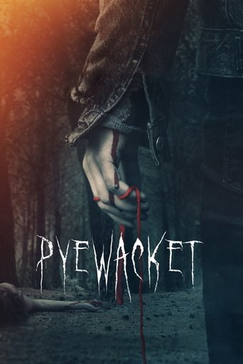 Pyewacket (2017) movie poster
