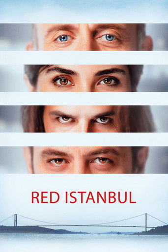 Red Istanbul (2017) movie poster