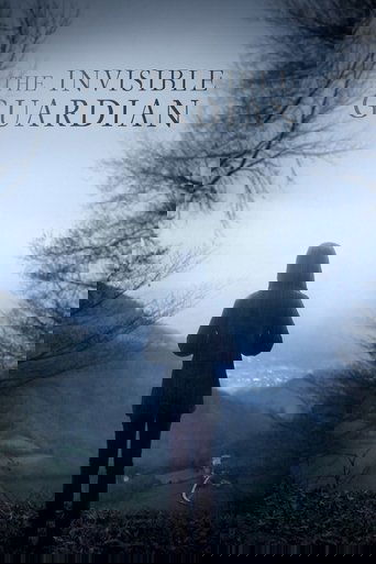 The Invisible Guardian (2017) movie poster