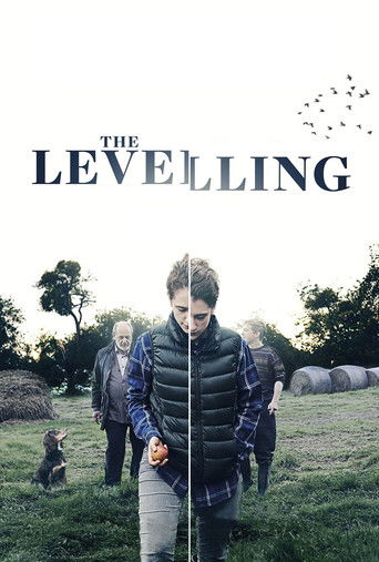 The Levelling (2017) movie poster