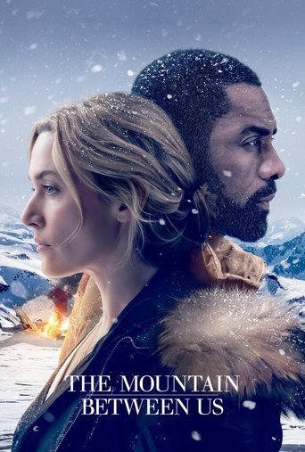 The Mountain Between Us (2017) movie poster