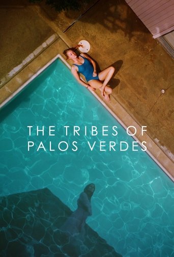 The Tribes of Palos Verdes (2017) movie poster