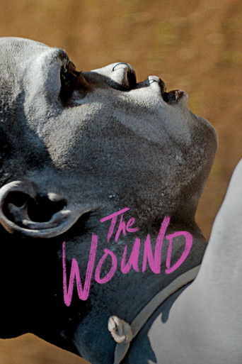 The Wound (2017) movie poster