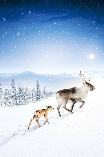 A Reindeer's Journey (2018) movie poster