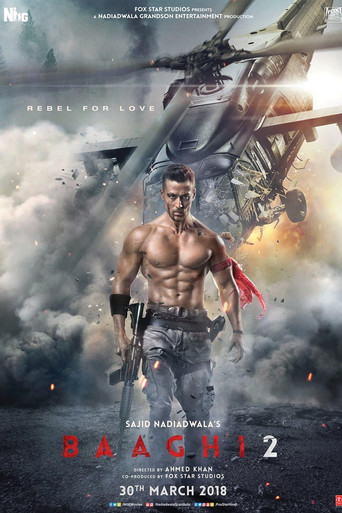 Baaghi 2 (2018) movie poster