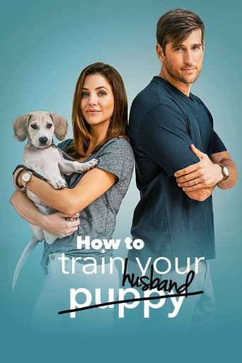 How to Train Your Husband (2018) movie poster