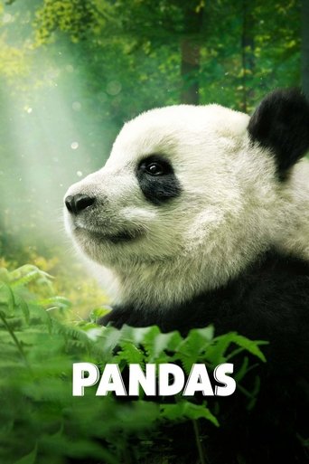 Pandas (2018) movie poster