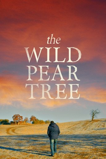 The Wild Pear Tree (2018) movie poster