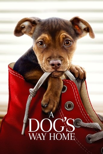 A Dog's Way Home (2019) movie poster