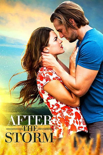 After the Storm (2019) movie poster
