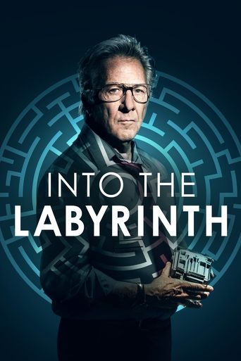 Into the Labyrinth (2019) movie poster