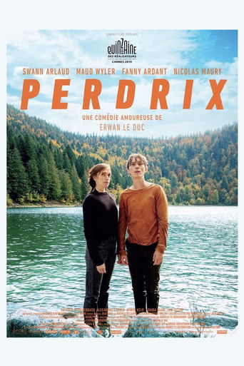 The Bare Necessity (2019) movie poster