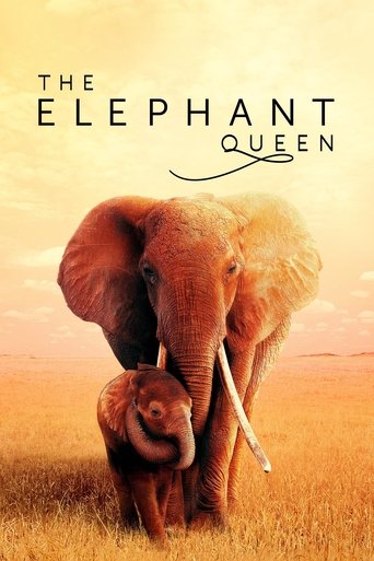 The Elephant Queen (2019) movie poster