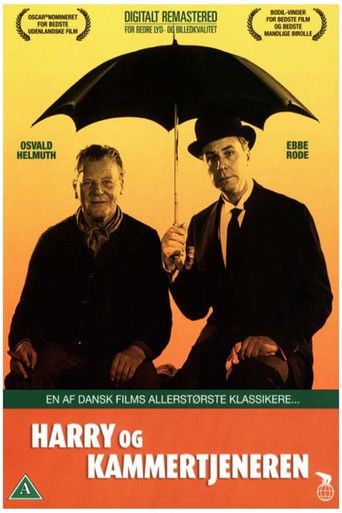 Harry and the Butler poster