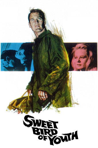 Sweet Bird of Youth (1962) movie poster