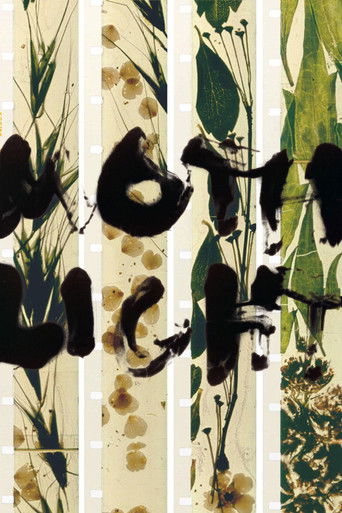 Mothlight (1963) movie poster