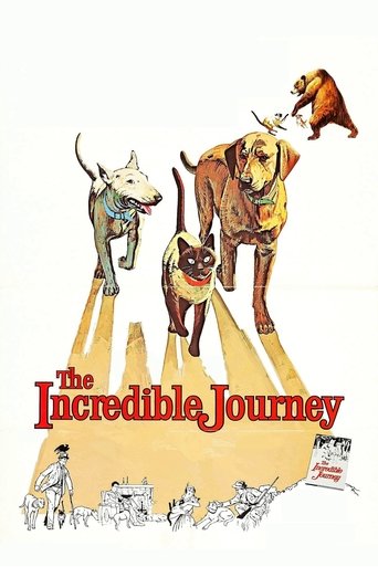 The Incredible Journey (1963) movie poster