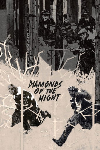 Diamonds of the Night (1964) movie poster