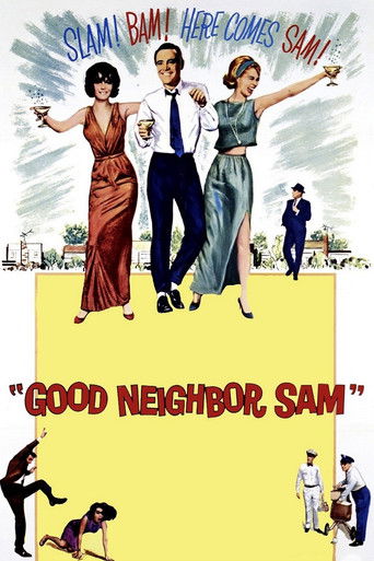 Good Neighbor Sam (1964) movie poster