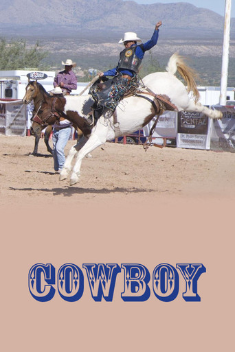 Cowboy poster