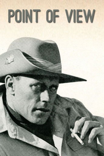 Point of View poster